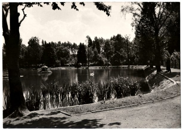 Czarno-biała pocztówka z Radomska – park w 1965 roku