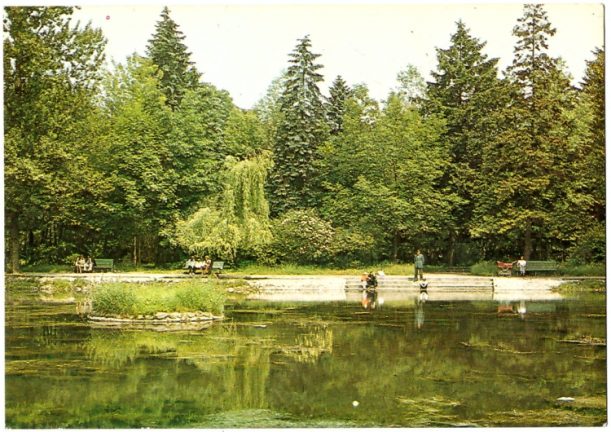 Pocztówka z Radomska – zazieleniony park (1979 rok)
