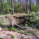 Miejsce zakopania ciał dwunastu żołnierzy KWP w lesie koło Bąkowej Góry