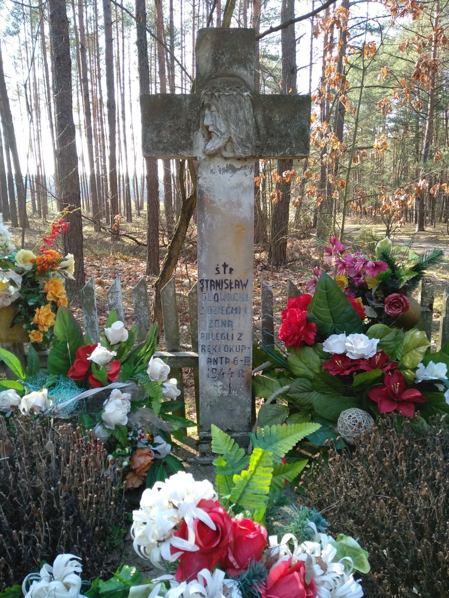 Okolice Majkowic: grób romskiej rodziny zamordowanej w czasie wojny przez Niemców