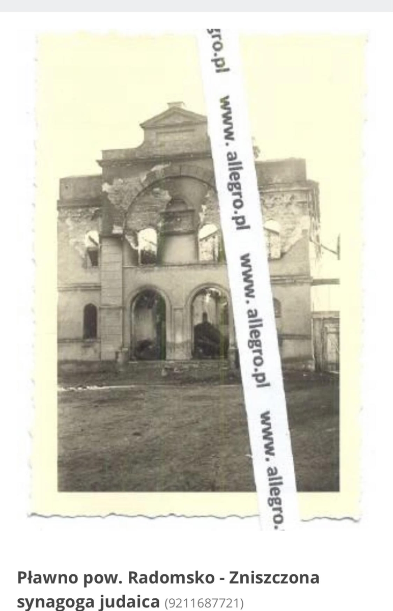 Synagoga w Pławnie