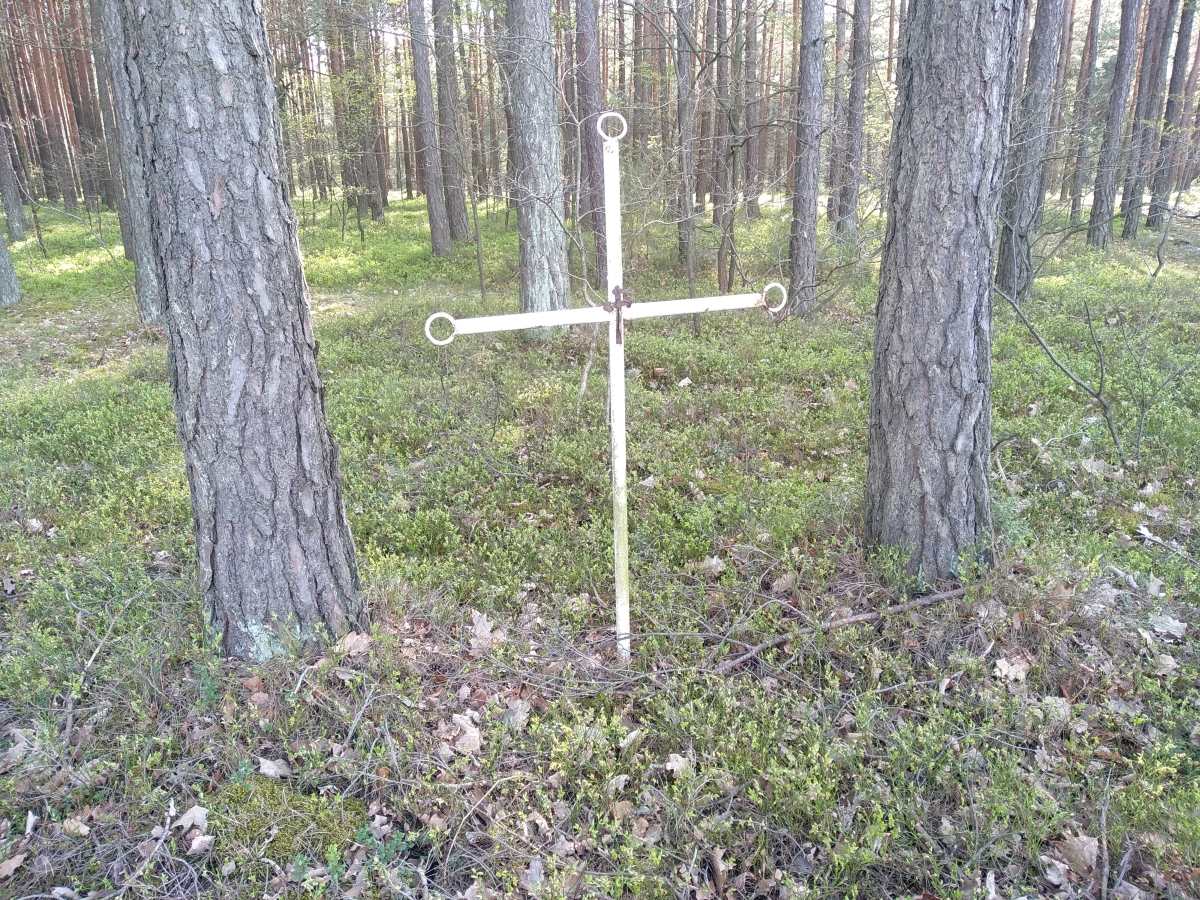 Pozostałości po cmentarzu epidemicznym przy ul. Jałowcowej w Radomsku