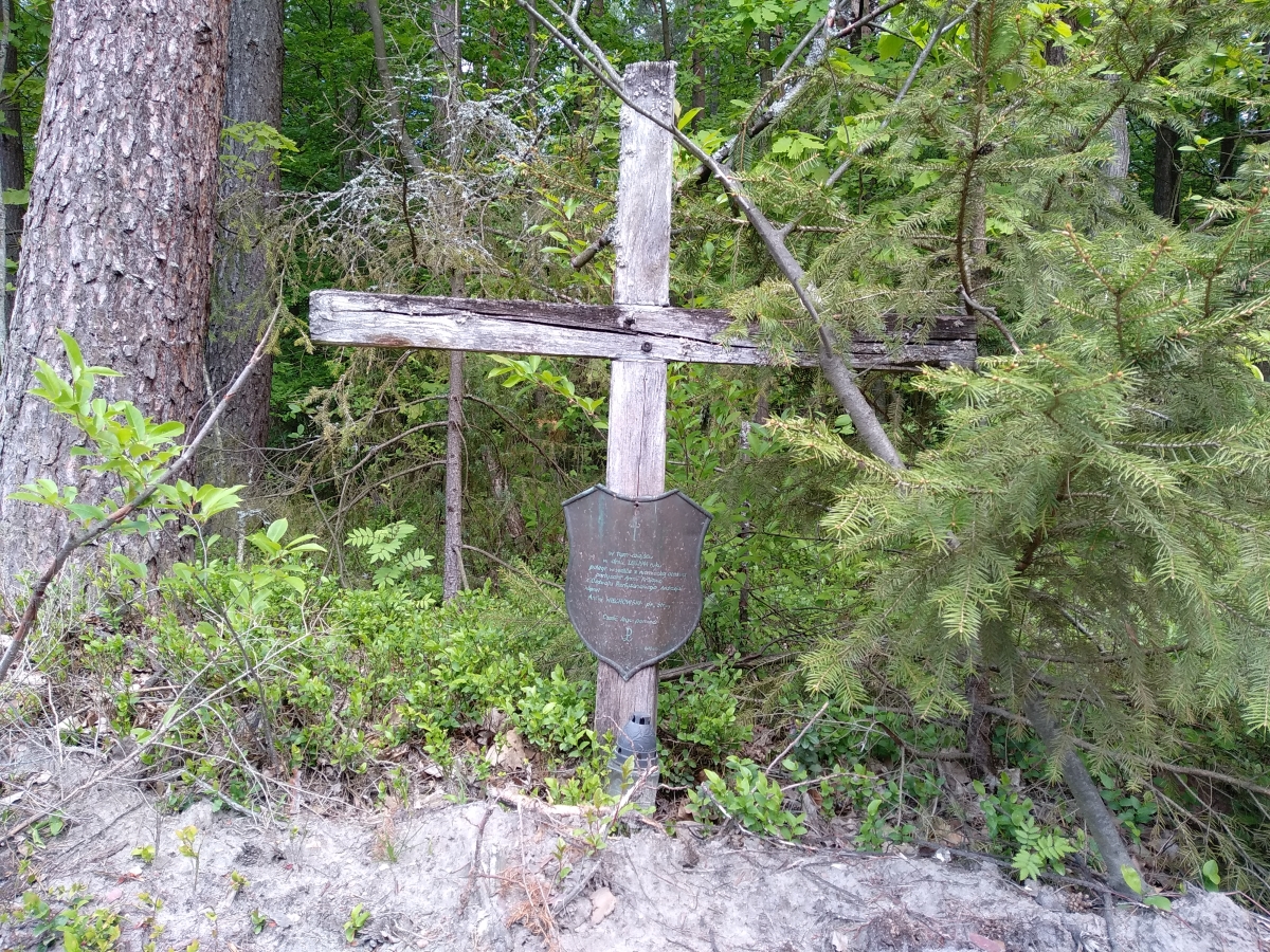 Krzyż w miejscu śmierci partyzanta Antoniego Wiechowskiego ps. „Strug”